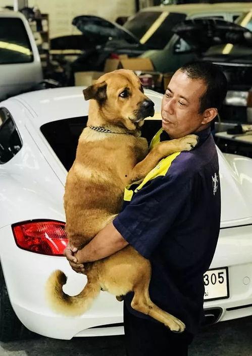警察大叔带狗吃瓜,夏日街头吃瓜趣事
