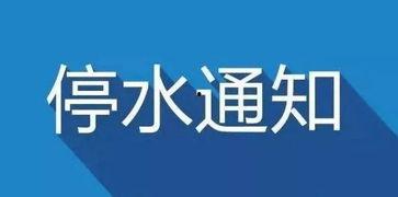 南部头条,聚焦地方动态，解码民生热点