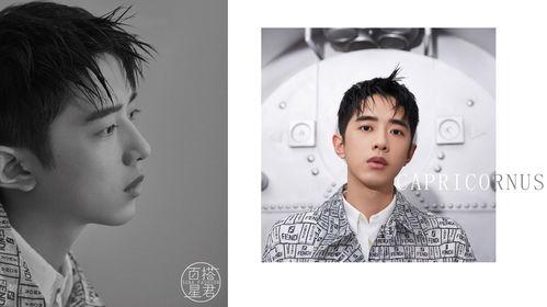 摩羯座的男明星有哪些,盘点那些低调沉稳的摩羯男明星