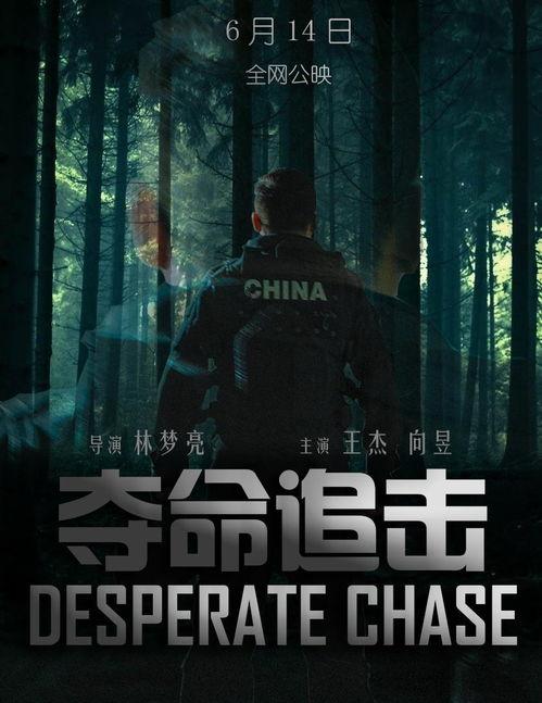 致命追击在线观看,生死逃亡，惊心动魄的生死较量