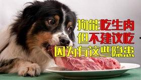 吃瓜大黑狼,揭秘娱乐圈背后的神秘故事