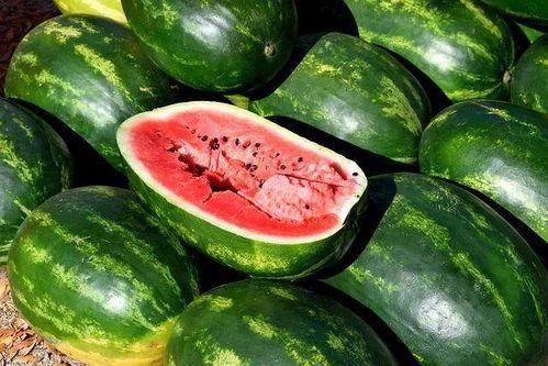 庄河吃瓜视频合集,趣味视频合集大揭秘