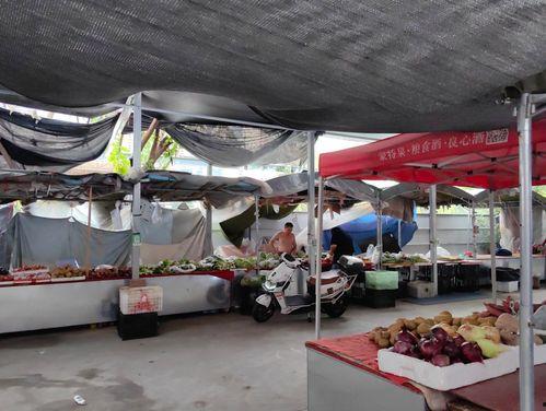 宁波新闻头条农贸市场,农贸市场焕新升级，打造市民生活新地标