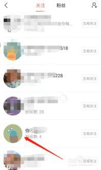 新版头条如何发私信视频,如何在新版头条上发送私信视频教程