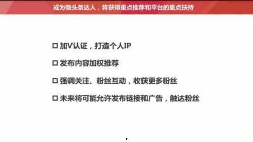 头条里啥叫粉丝多,粉丝众多的秘密，他们是如何做到的？
