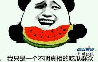 吃瓜大王是什么意思