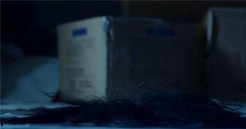 娱乐吃瓜最新事件直播视频,娱乐圈最新吃瓜事件，精彩瞬间不容错过！