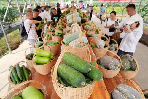 广州市吃瓜影视娱乐,解码城市光影盛宴