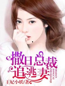 娱乐吃瓜酱妻子小说,妻子背后的秘密风云