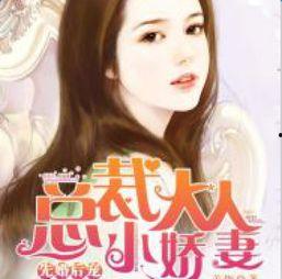 娱乐吃瓜酱妻子小说,妻子背后的秘密风云