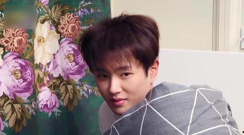 范丞丞娱乐吃瓜酱