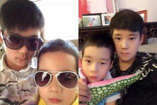 娱乐吃瓜君火化爸妈,揭秘火化爸妈背后的感人故事