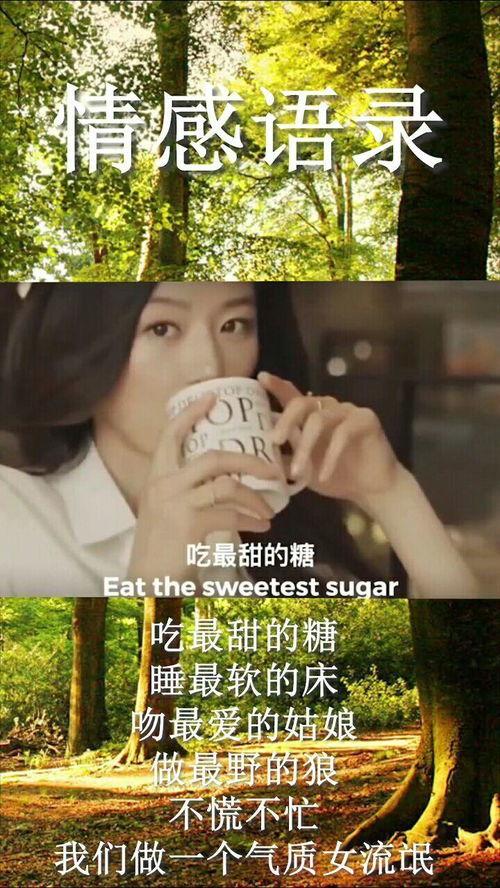 娱乐吃瓜酱伤感语录图片,揭开娱乐圈背后的心酸故事