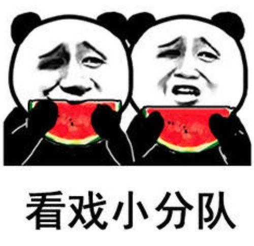 微信发吃瓜表情怎么回复